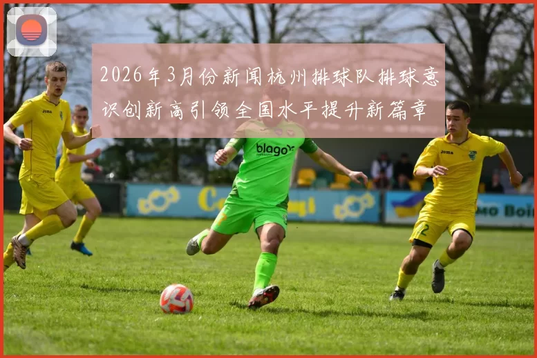 2026年3月份新闻杭州排球队排球意识创新高引领全国水平提升新篇章